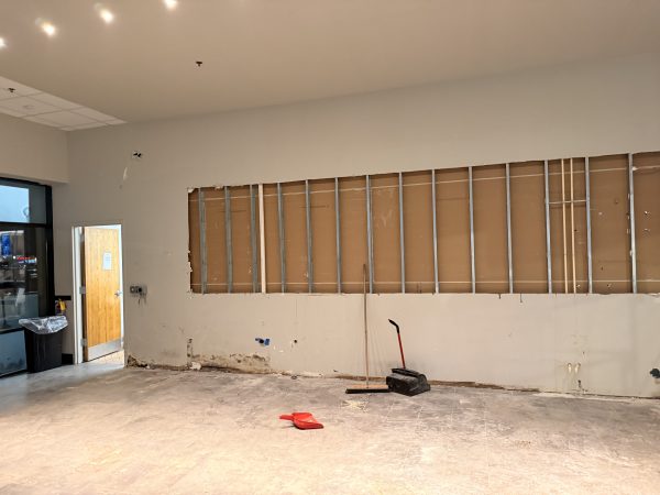 demolition-selective-demolition-piggly-wiggly-2-hammercore-group